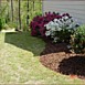 Flowerbed & Shrub Maintenance